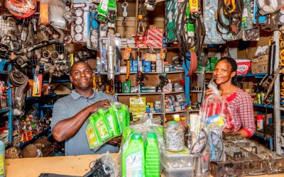 Empowering Tomorrow: Innovative Financial Solutions for Micro-Entrepreneurs and Low-Income Earners